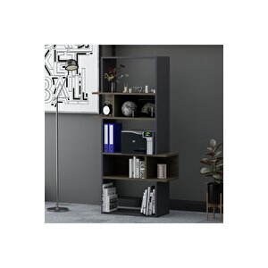 Lagomood İrony İnfy Ofis Takımı Antrasit Ceviz