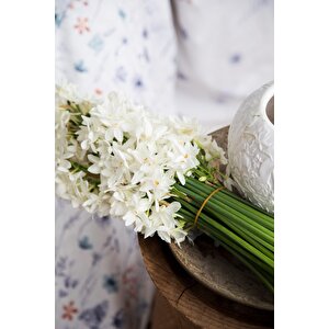 Çi̇ft Ki̇şi̇li̇k Nevresi̇m Takimi Papillo Turkuaz - Nevresim