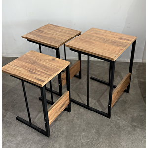 Zigon Sehpa 3 Lü Dekoratif Yan Sehpa 5500