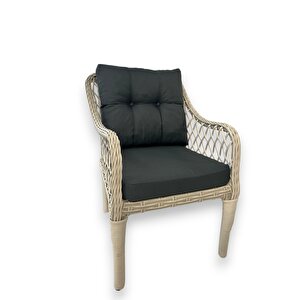 Alümi̇nyum Hi̇sarönü 3+1+1+masa Rattan Bahçe Balkon Mobi̇lyasi,koyu gri