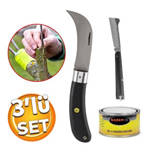 Plastik Saplı Bıçak Çakı Soğuk Aşı Macunu Profesyonel Çelik Eğri Uç Bağ Ağaç Budama Bıçağı 3'lü Set