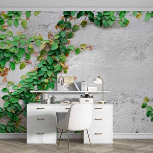 Duvar Sarmaşık Temalı Duvar Kağıdı Baskı - Dkm566087