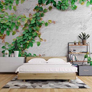 Duvar Sarmaşık Temalı Duvar Kağıdı Baskı - Dkm566038 525x240 cm
