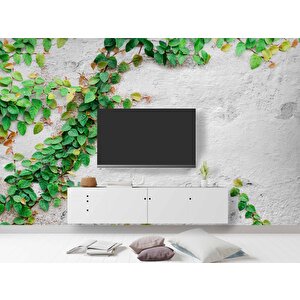 Duvar Sarmaşık Temalı Duvar Kağıdı Baskı - Dkm566106 900x300 cm