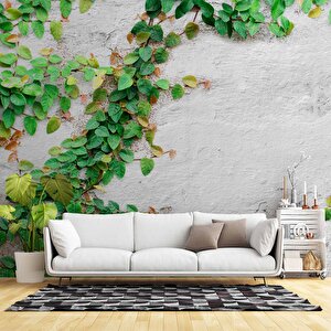 Duvar Sarmaşık Temalı Duvar Kağıdı Baskı - Dkm566032 375x240 cm