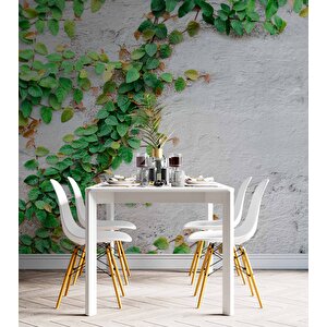 Duvar Sarmaşık Temalı Duvar Kağıdı Baskı - Dkm566026