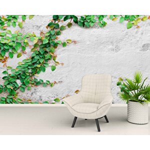 Duvar Sarmaşık Temalı Duvar Kağıdı Baskı - Dkm566026