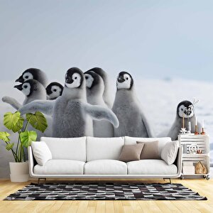 Kutuplar Ve Yavru Penguen Manzaralı Duvar Kağıdı - Dkm870096 400x300 cm