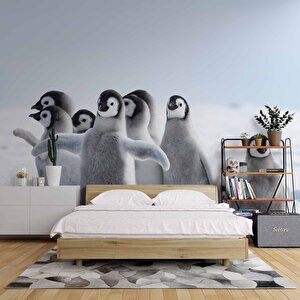 Kutuplar Ve Yavru Penguen Manzaralı Duvar Kağıdı - Dkm870096 400x300 cm