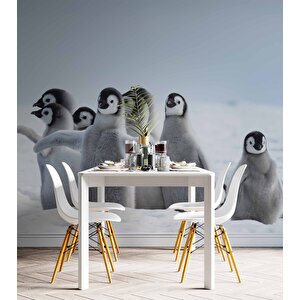 Kutuplar Ve Yavru Penguen Manzaralı Duvar Kağıdı - Dkm870096
