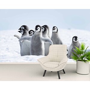 Kutuplar Ve Yavru Penguen Manzaralı Duvar Kağıdı - Dkm870096