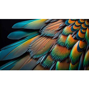 3 Boyutlu Renkli Tüy Desenli Duvar Kağıdı Baskı - Dkm599023