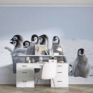 Kutuplar Ve Yavru Penguen Manzaralı Duvar Kağıdı - Dkm870122