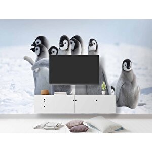 Kutuplar Ve Yavru Penguen Manzaralı Duvar Kağıdı - Dkm870016 500x200 cm