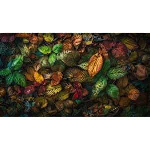 Sonbahar Yaprak Temalı Duvar Kağıdı Baskı - Dkm116031