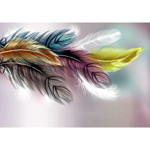 Renkli Tüy Desenli Duvar Kağıdı Baskı - Dkm092022