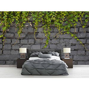 Gri Tuğla Duvar Ve Sarmaşık Duvar Kağıdı - Dkm573001 100x100 cm