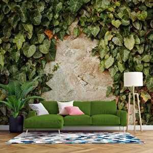 Duvar Dokusu Ve Sarmaşık Duvar Kağıdı Baskı - Dkm544052 350x260 cm