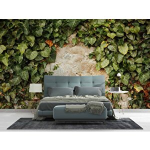 Duvar Dokusu Ve Sarmaşık Duvar Kağıdı Baskı - Dkm544052 350x260 cm