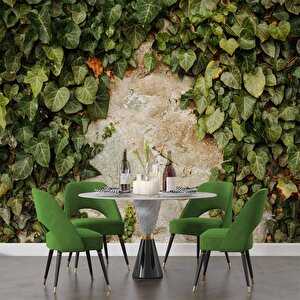 Duvar Dokusu Ve Sarmaşık Duvar Kağıdı Baskı - Dkm544052