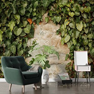 Duvar Dokusu Ve Sarmaşık Duvar Kağıdı Baskı - Dkm544052