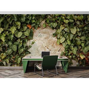 Duvar Dokusu Ve Sarmaşık Duvar Kağıdı Baskı - Dkm544099