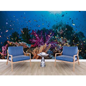 3 Boyutlu Akvaryum Görünümlü Duvar Kağıdı - Dkm646007