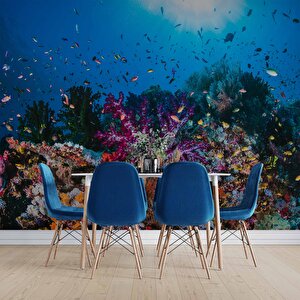 3 Boyutlu Akvaryum Görünümlü Duvar Kağıdı - Dkm646002