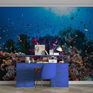 3 Boyutlu Akvaryum Görünümlü Duvar Kağıdı - Dkm646009 325x200 cm