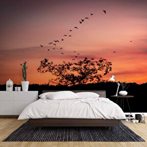 Günbatımı Ağaç Ve Kuş Gölgesi Manzaralı Duvar Kağıdı - Dkm744090 250x300 cm