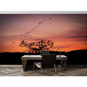 Günbatımı Ağaç Ve Kuş Gölgesi Manzaralı Duvar Kağıdı - Dkm744090