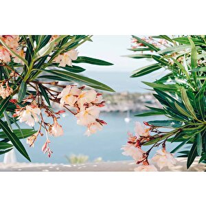 Pembe Çiçek Ve Deniz Manzaralı Duvar Kağıdı - Dkm935097