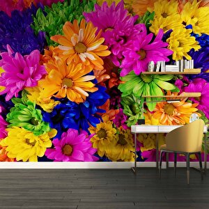 Rengarenk Çiçek Temalı Duvar Kağıdı Baskı - Dkm518063