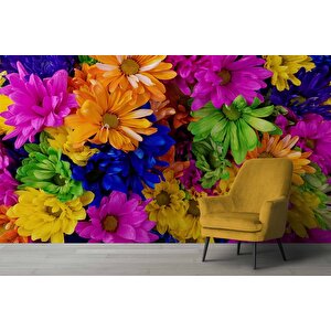 Rengarenk Çiçek Temalı Duvar Kağıdı Baskı - Dkm518063