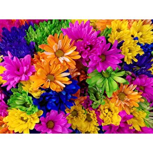 Rengarenk Çiçek Temalı Duvar Kağıdı Baskı - Dkm518063