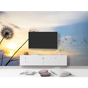 Gökyüzü Ve Bulut Manzaralı Duvar Kağıdı - Dkm641001 100x100 cm