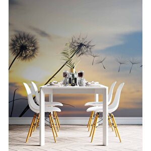 Gökyüzü Ve Bulut Manzaralı Duvar Kağıdı - Dkm641001