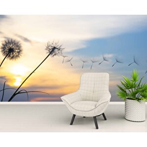 Gökyüzü Ve Bulut Manzaralı Duvar Kağıdı - Dkm641061