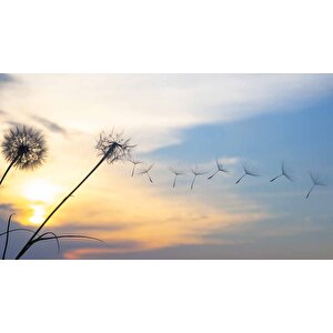 Gökyüzü Ve Bulut Manzaralı Duvar Kağıdı - Dkm641061