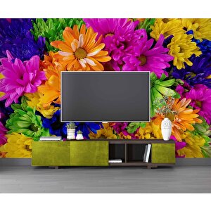 Rengarenk Çiçek Temalı Duvar Kağıdı Baskı - Dkm518089 225x300 cm