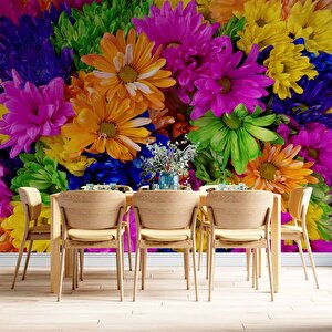Rengarenk Çiçek Temalı Duvar Kağıdı Baskı - Dkm518001