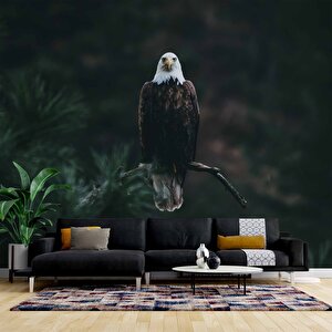 Kartal Temalı Duvar Kağıdı Baskı - Dkm504092 300x300 cm