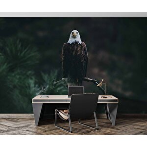 Kartal Temalı Duvar Kağıdı Baskı - Dkm504001 100x100 cm