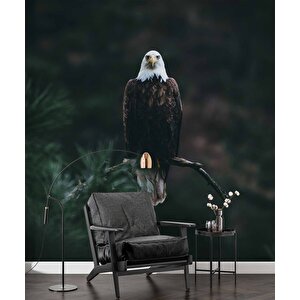Kartal Temalı Duvar Kağıdı Baskı - Dkm504048