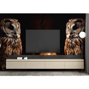Gece Ve Baykuş Manzaralı Duvar Kağıdı - Dkm867094 350x300 cm