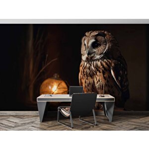 Gece Ve Baykuş Manzaralı Duvar Kağıdı - Dkm867094