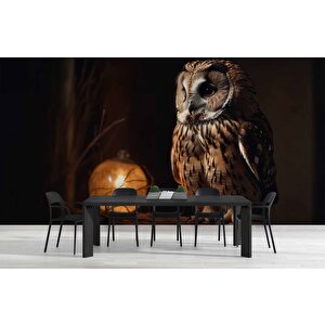 Gece Ve Baykuş Manzaralı Duvar Kağıdı - Dkm867094