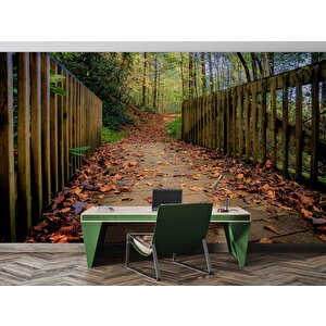 Sonbahar Köprü Manzaralı Duvar Kağıdı Baskı - Dkm243003