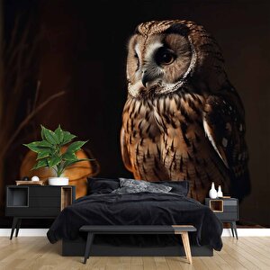 Gece Ve Baykuş Manzaralı Duvar Kağıdı - Dkm867022 900x200 cm