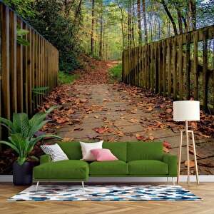 Sonbahar Köprü Manzaralı Duvar Kağıdı Baskı - Dkm243047 225x260 cm